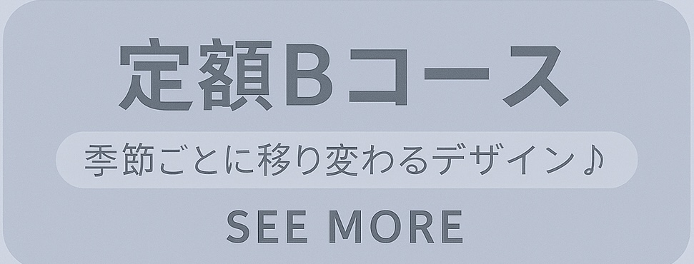 定額Bコース