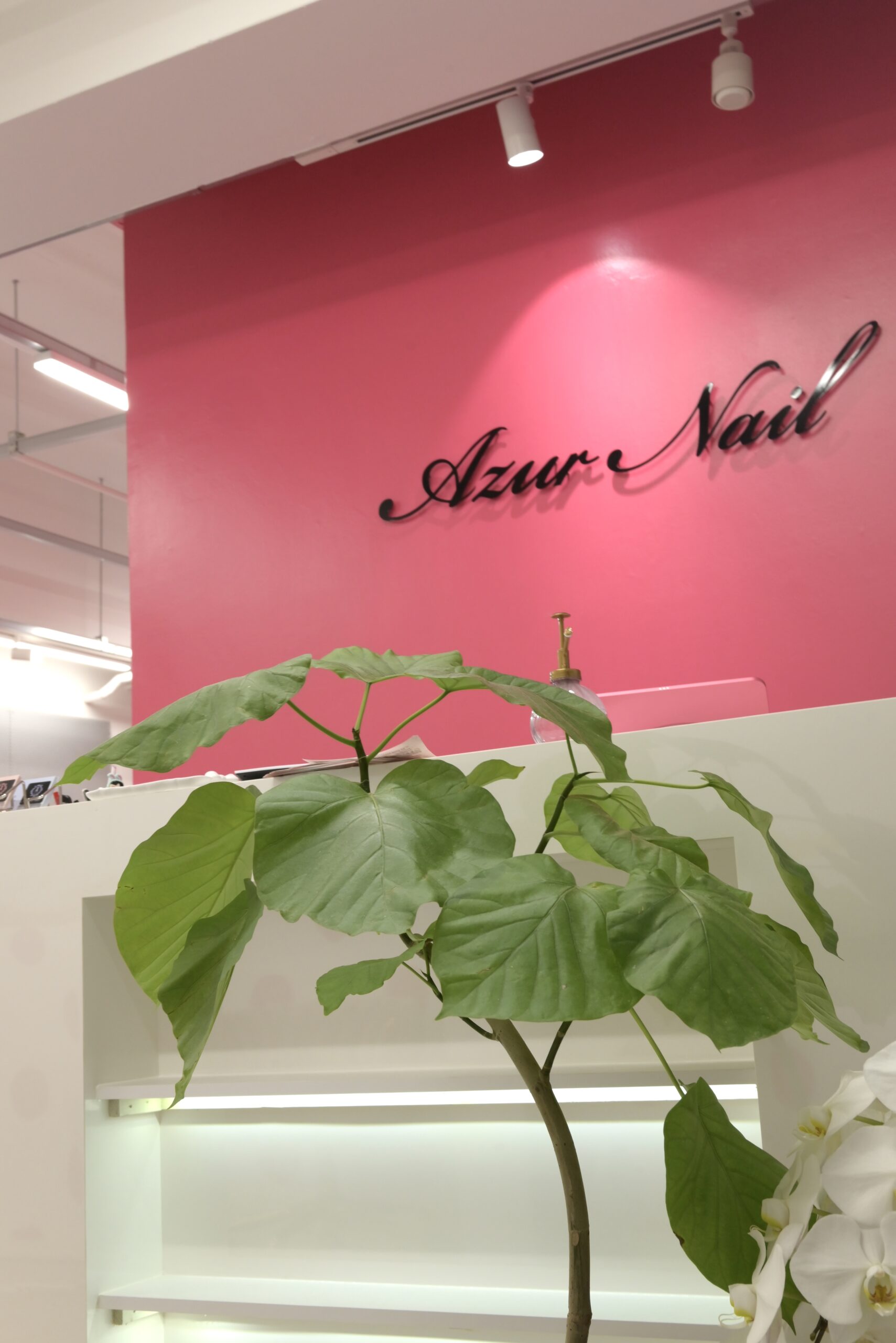 画像 1 サムネイル