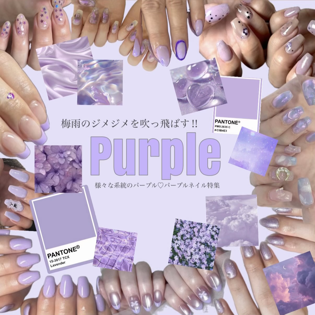 メイン画像特集